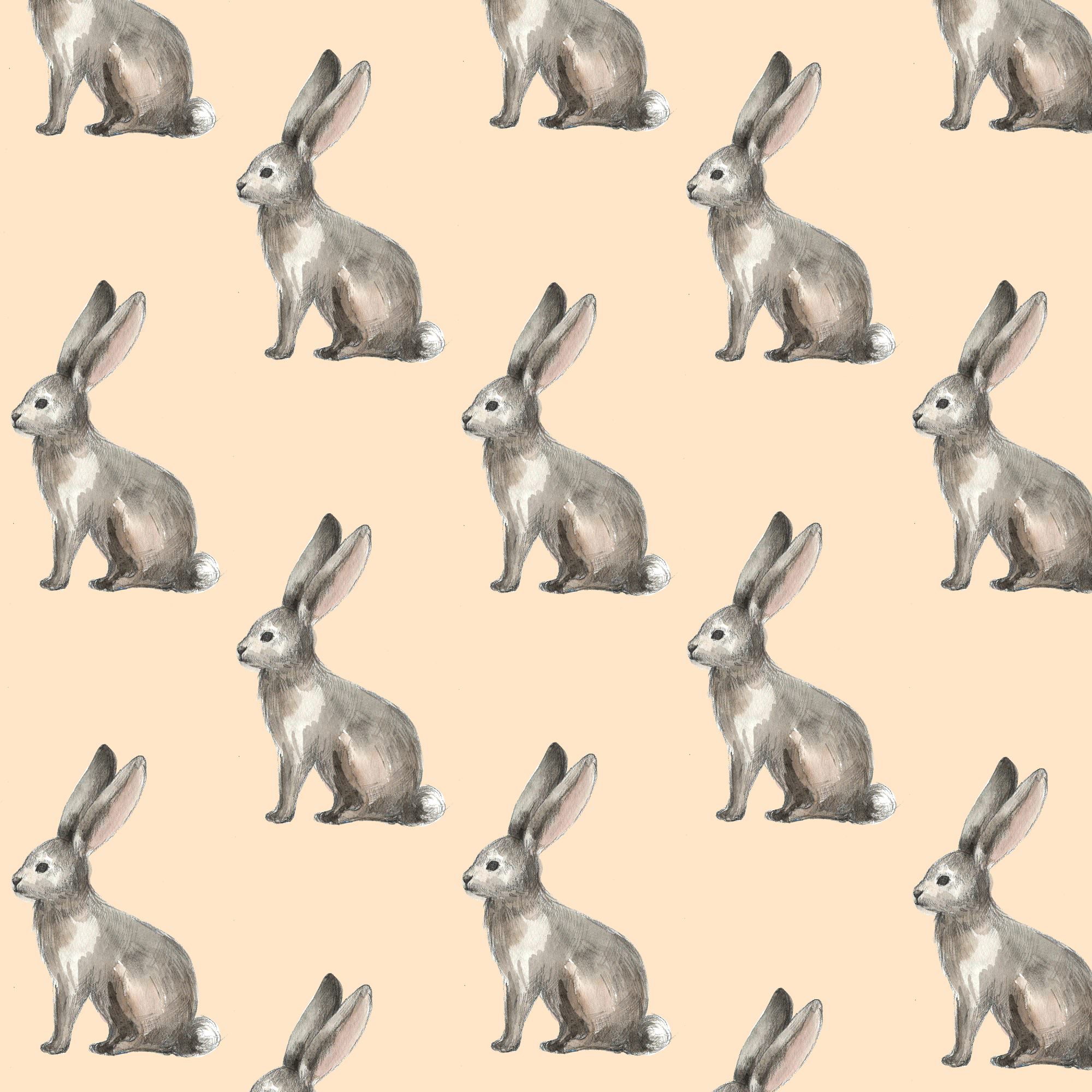 animal pattern