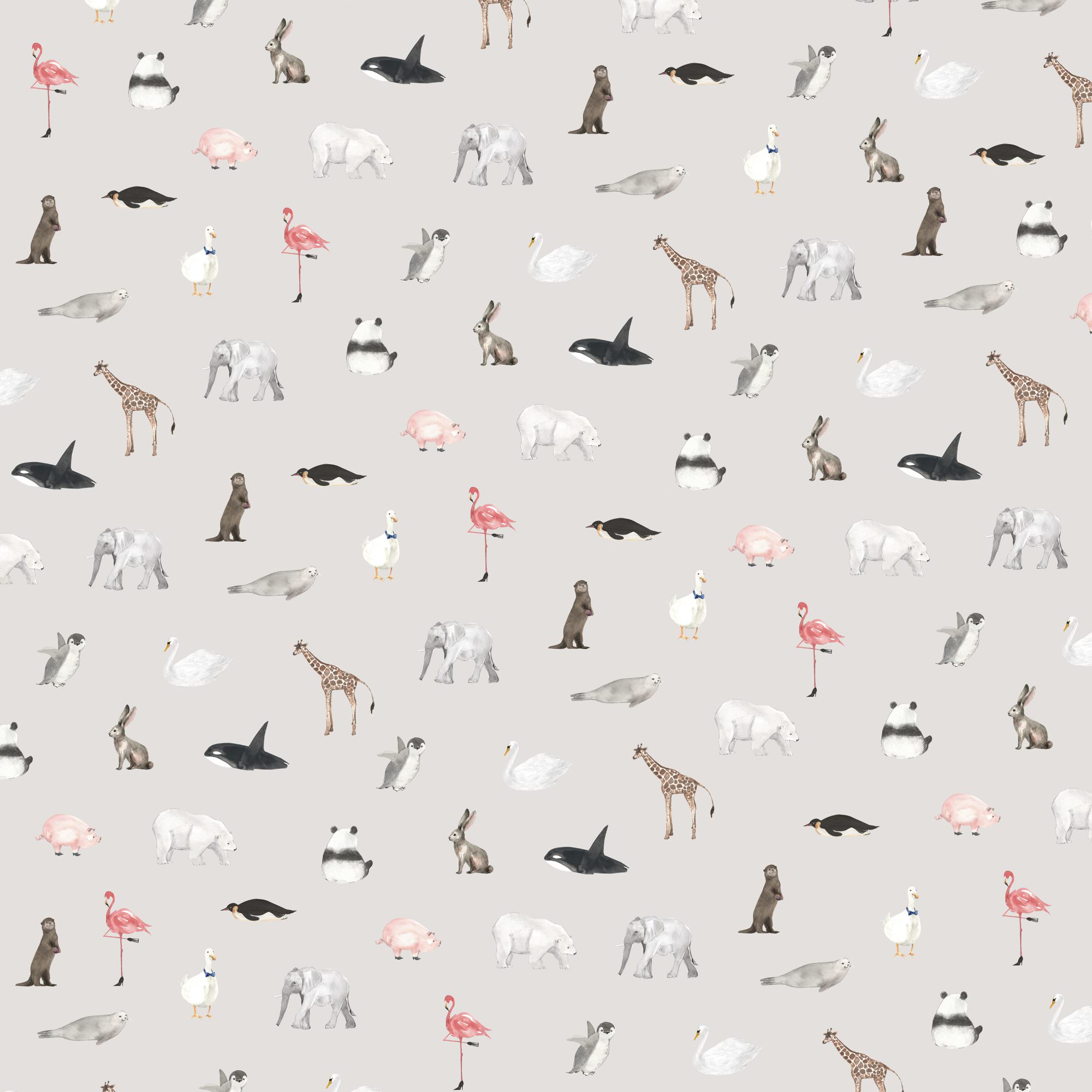 animal pattern