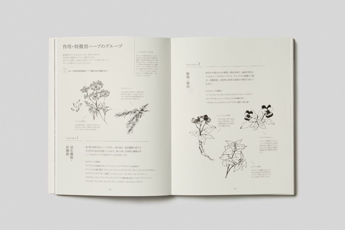 ハーブではじめる植物療法の手引き