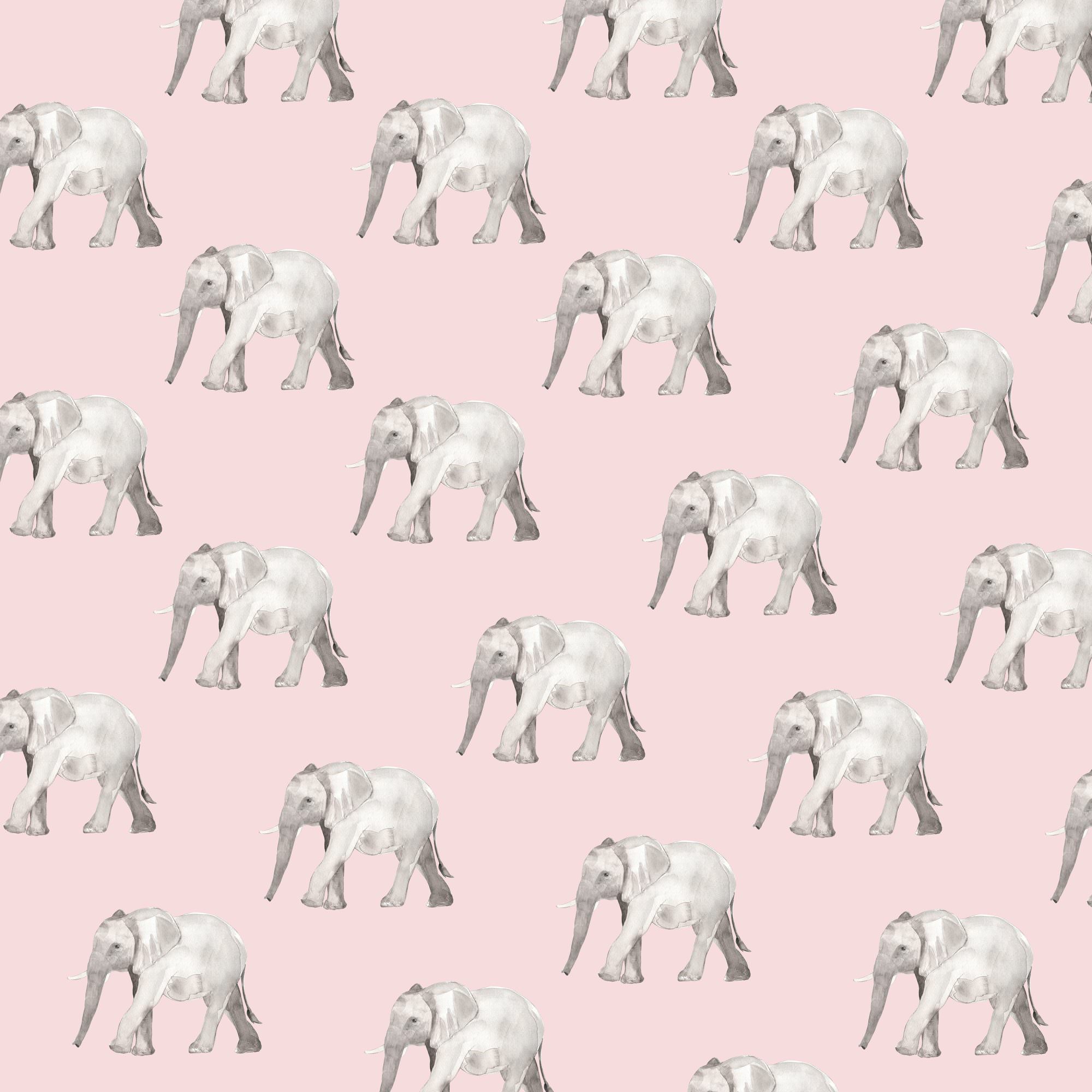 animal pattern