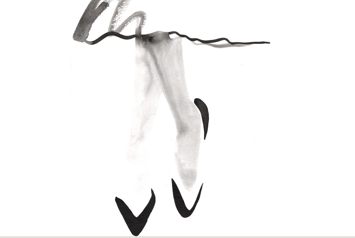 Drawings